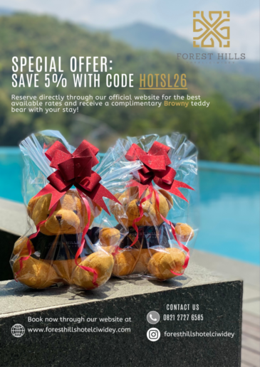 WEBSITE PROMOTION (11)