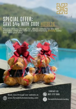 WEBSITE-PROMOTION